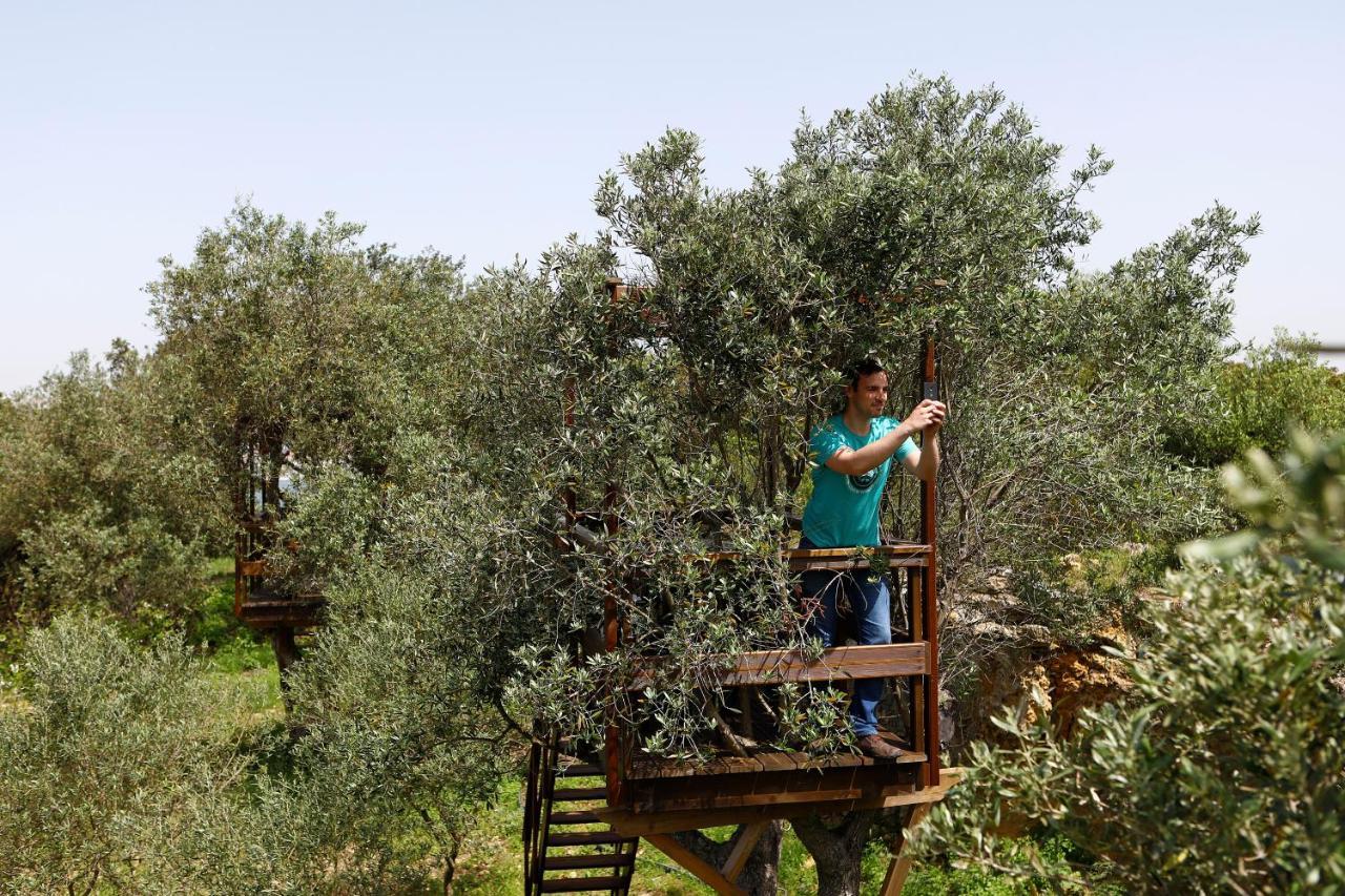 مبيت وإفطار كاباريكا Ola Belem! Cozy Windmill, Stunning Views To Lisboa المظهر الخارجي الصورة