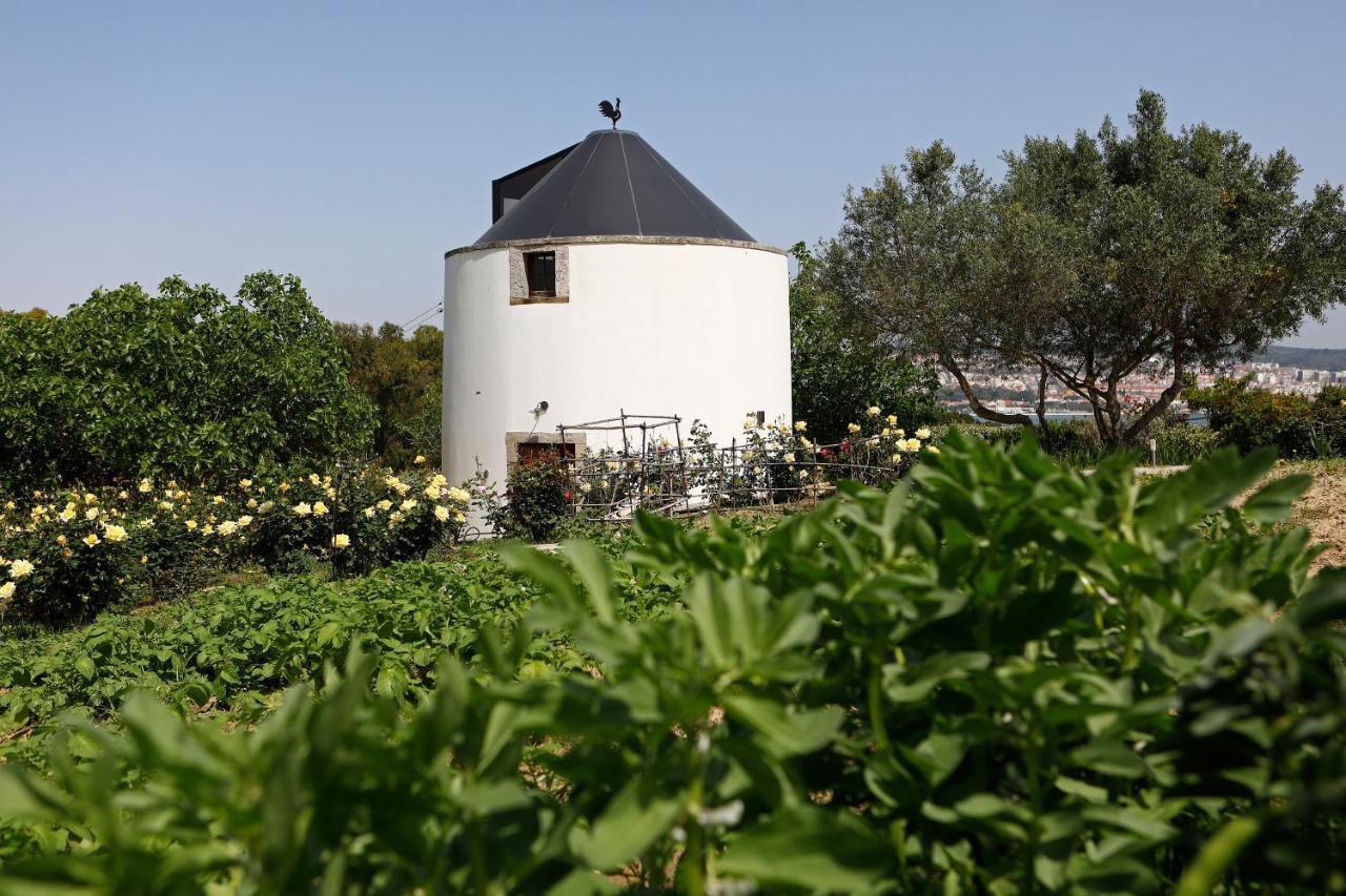 مبيت وإفطار كاباريكا Ola Belem! Cozy Windmill, Stunning Views To Lisboa المظهر الخارجي الصورة